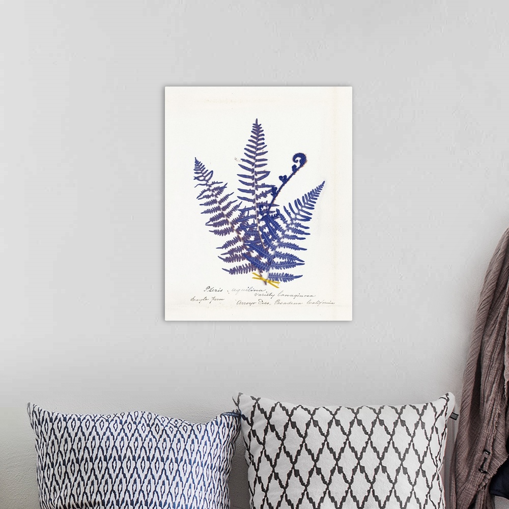 A bohemian room featuring Decorative image of blue fern leaves on a white background with text below.