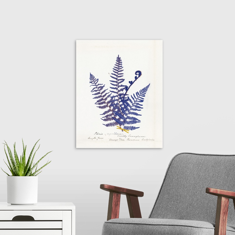 A modern room featuring Decorative image of blue fern leaves on a white background with text below.