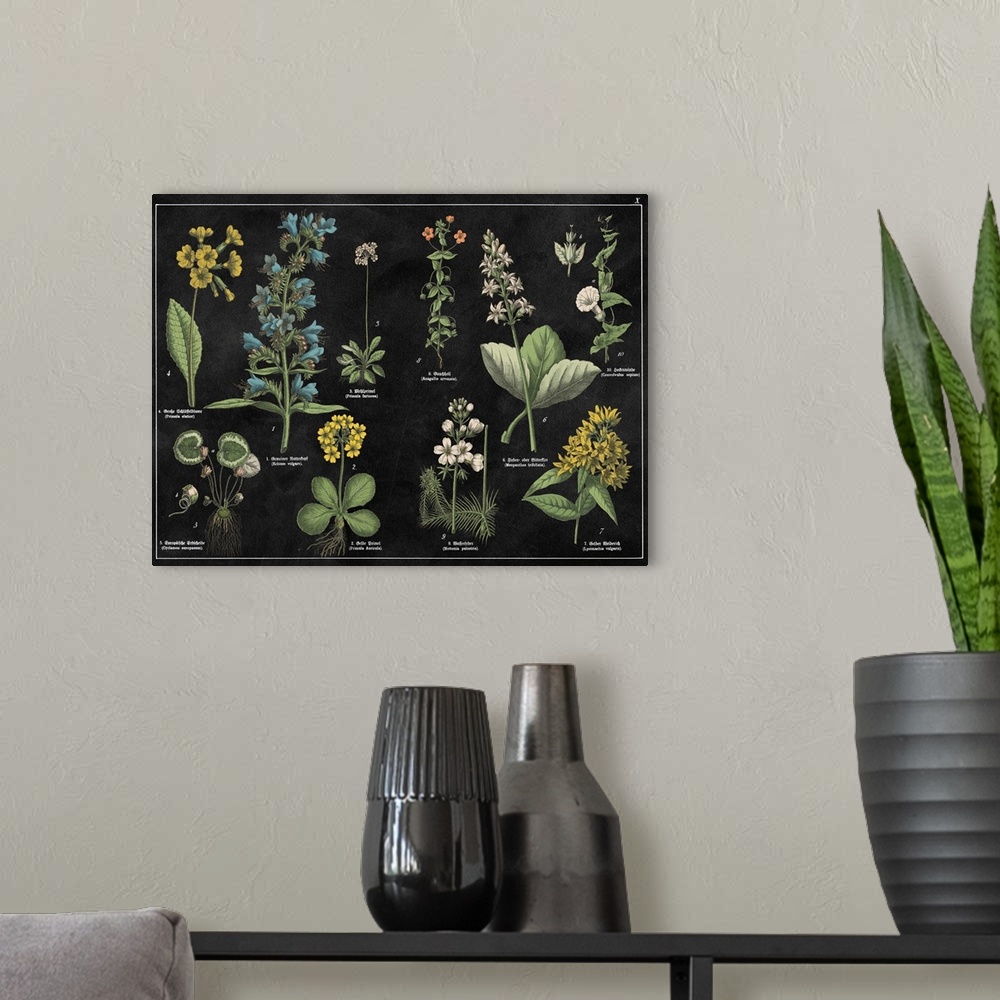 A modern room featuring Vintage stylized botanical illustrations.