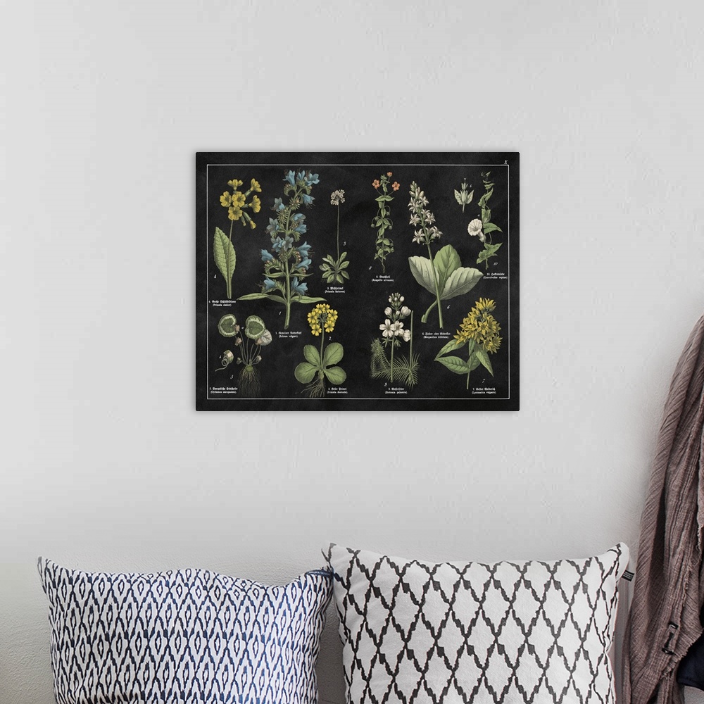 A bohemian room featuring Botanical Floral Chart I Black And White