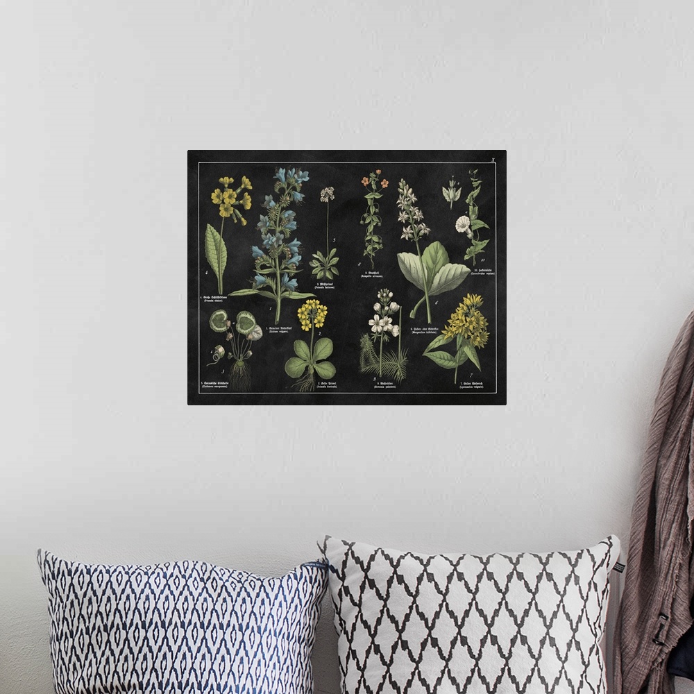 A bohemian room featuring Botanical Floral Chart I Black And White