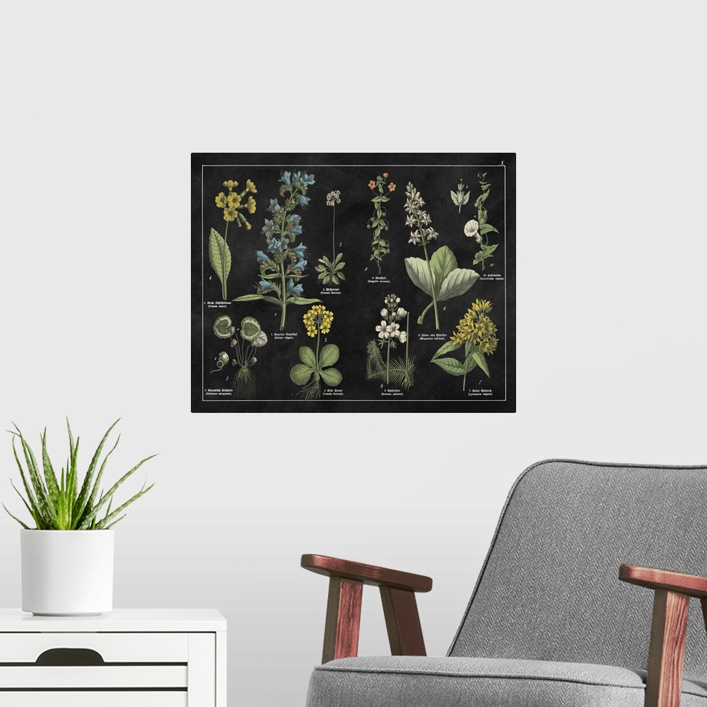 A modern room featuring Botanical Floral Chart I Black And White