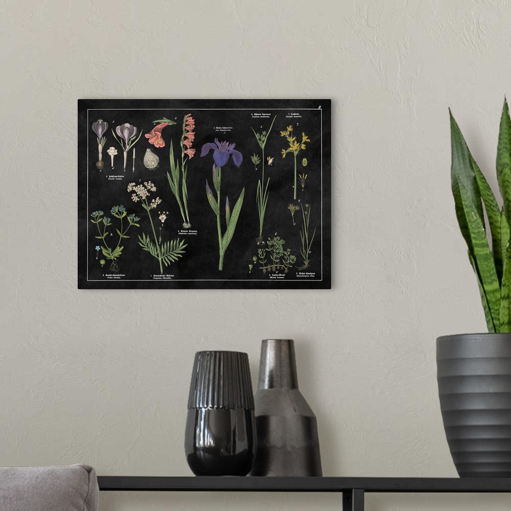 A modern room featuring Vintage stylized botanical illustrations.