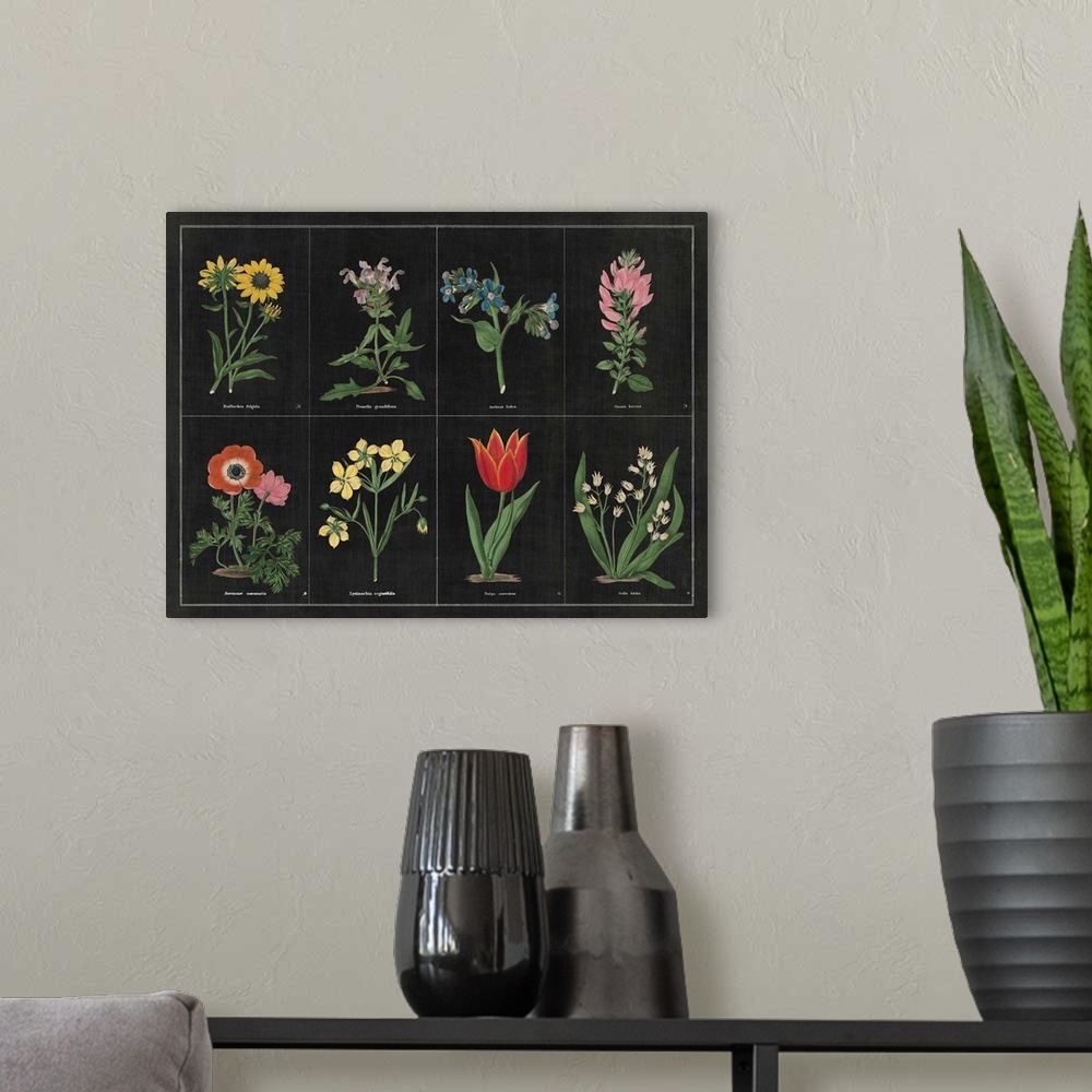 A modern room featuring Contemporary artwork of a vintage stylized botanical illustration.