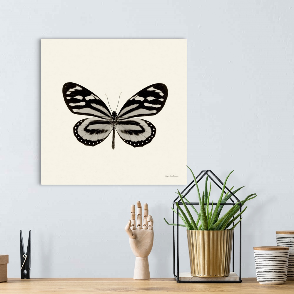 A bohemian room featuring Contemporary artwork of a butterfly against a cream toned surface.
