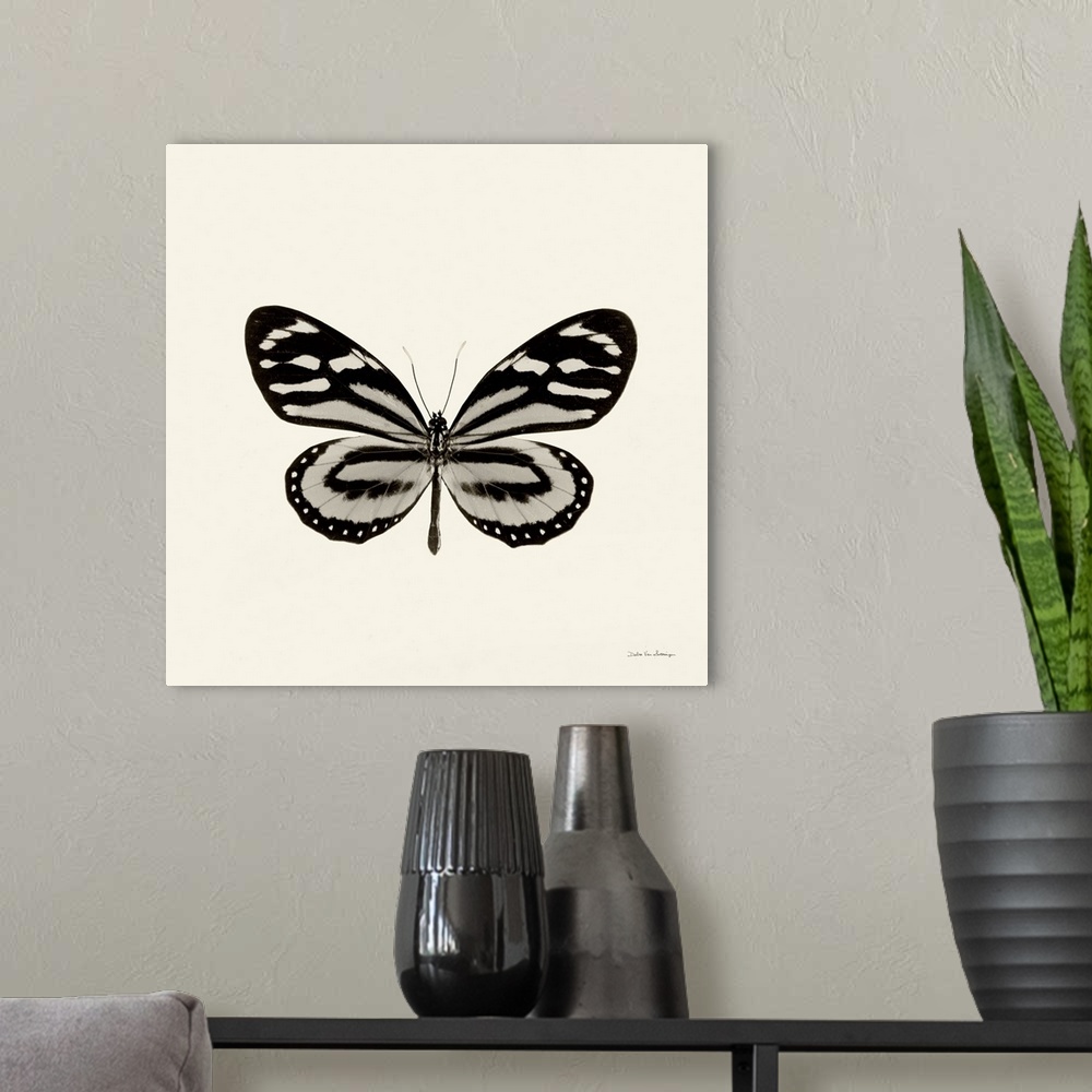 A modern room featuring Contemporary artwork of a butterfly against a cream toned surface.