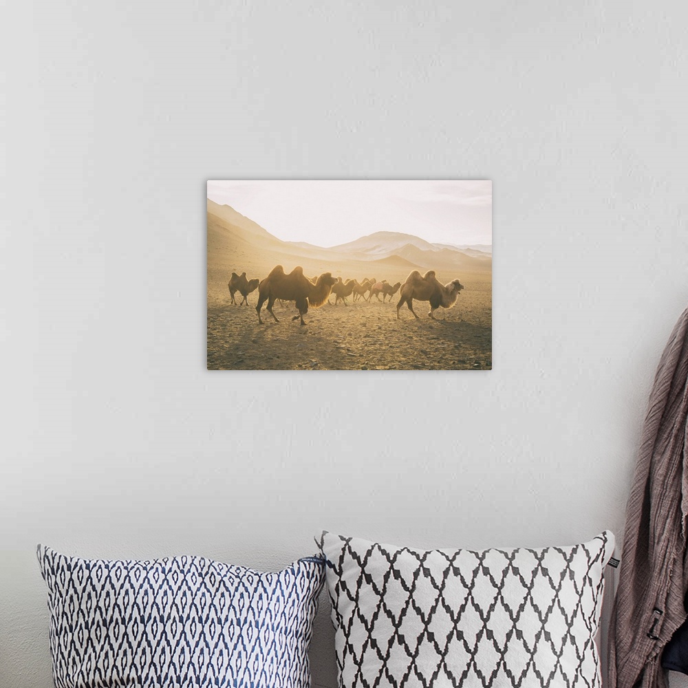 A bohemian room featuring Camels On The Move