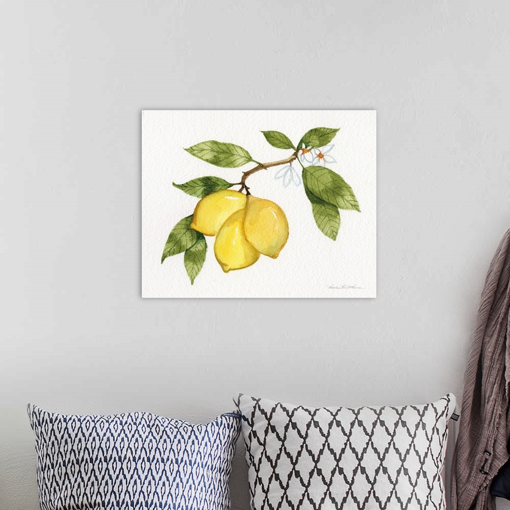 A bohemian room featuring Contemporary artwork of a branch of lemons on a neutral backdrop.