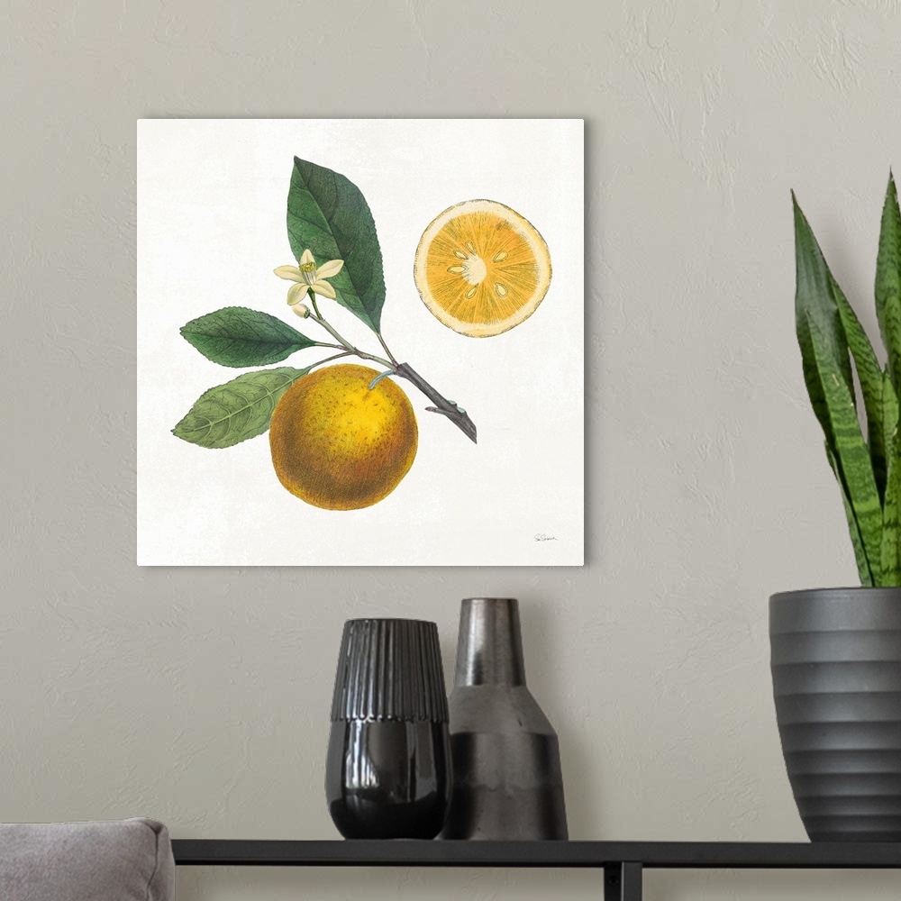 A modern room featuring Square art with an illustration of oranges and flowers on a white background.