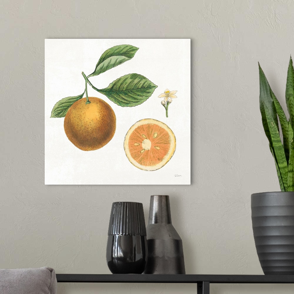 A modern room featuring Square art with an illustration of grapefruit and flowers on a white background.