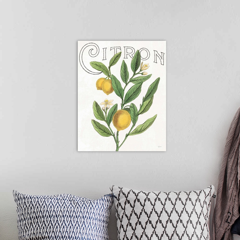 A bohemian room featuring Illustration of lemons, leaves, and flowers with "Citron" written at the top on a white background.