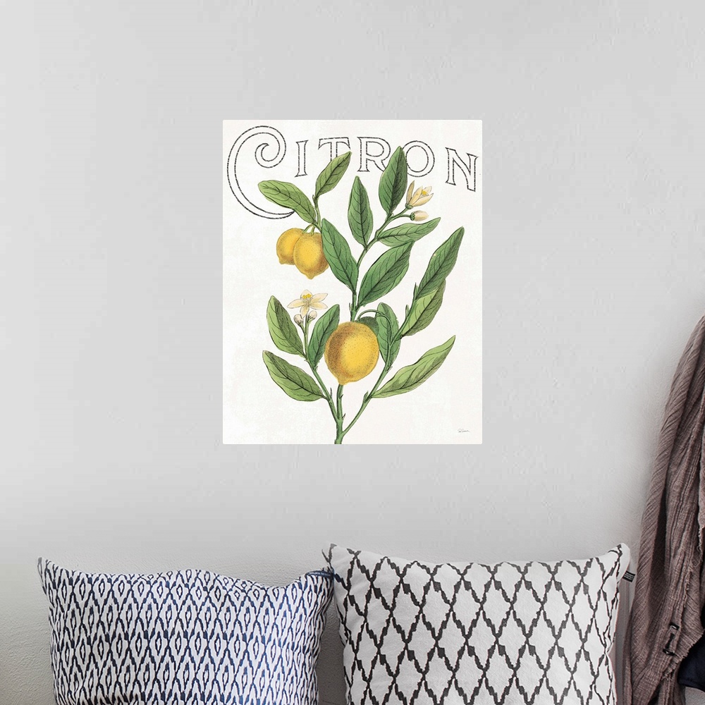 A bohemian room featuring Illustration of lemons, leaves, and flowers with "Citron" written at the top on a white background.