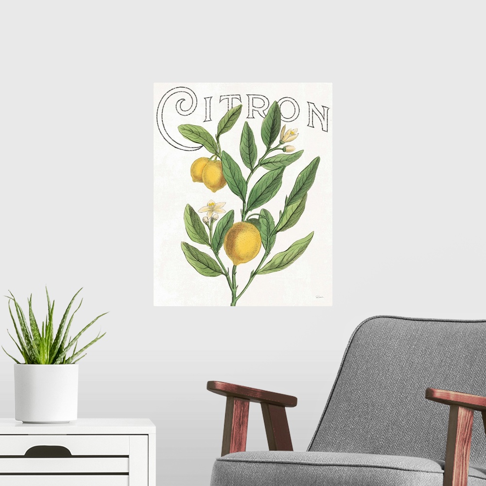 A modern room featuring Illustration of lemons, leaves, and flowers with "Citron" written at the top on a white background.