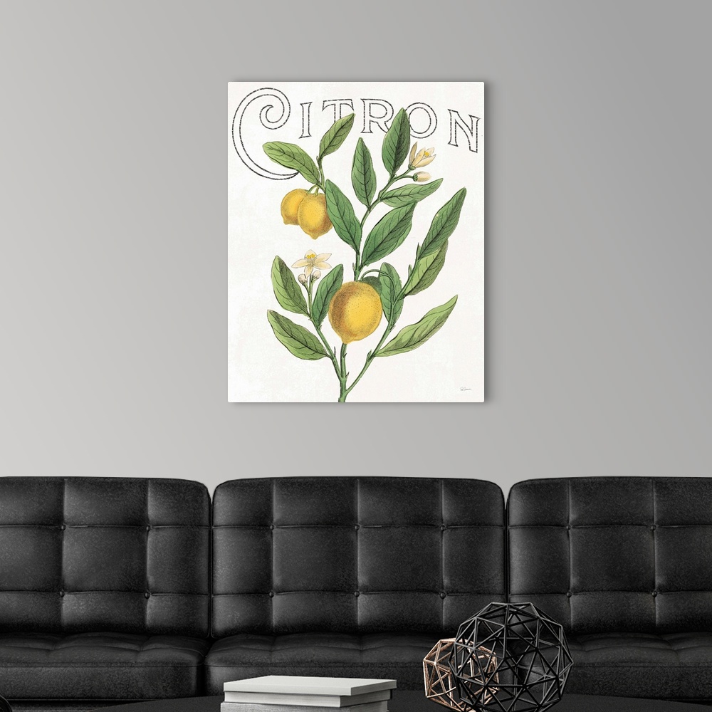A modern room featuring Illustration of lemons, leaves, and flowers with "Citron" written at the top on a white background.