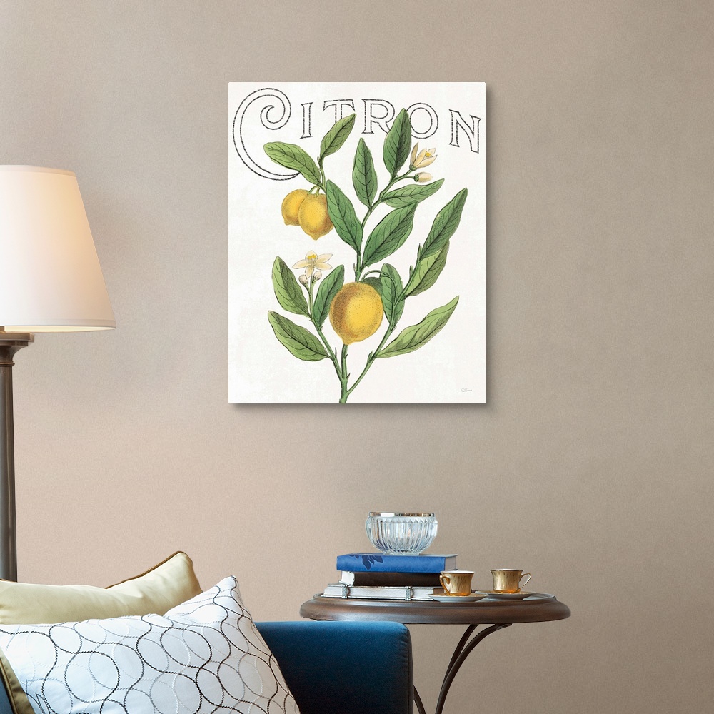 A traditional room featuring Illustration of lemons, leaves, and flowers with "Citron" written at the top on a white background.