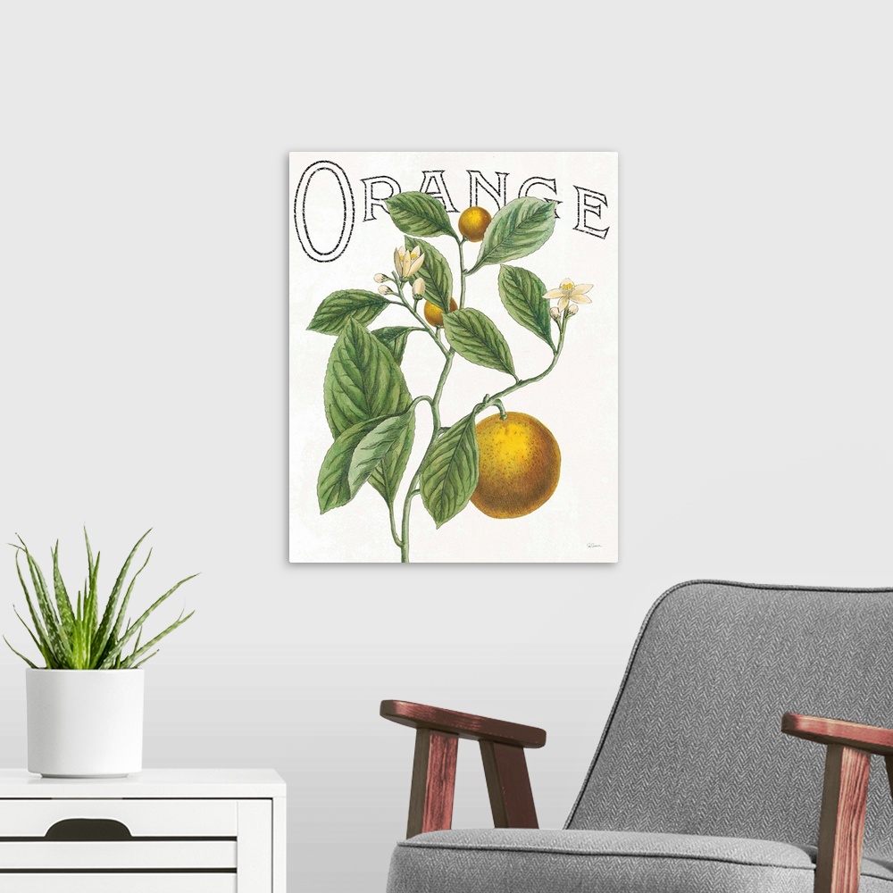 A modern room featuring Illustration of oranges, leaves, and flowers with "Orange" written at the top on a white background.