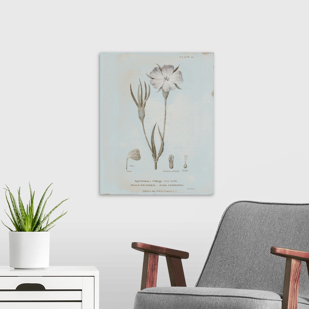 A modern room featuring Conversations on Botany III Blue