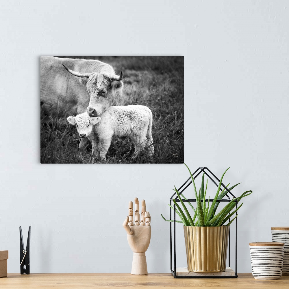 A bohemian room featuring Cow Care Crop