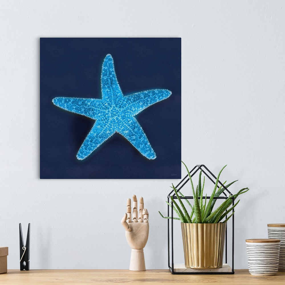 A bohemian room featuring Cyanotype photograph of a white speckled starfish on an indigo background.