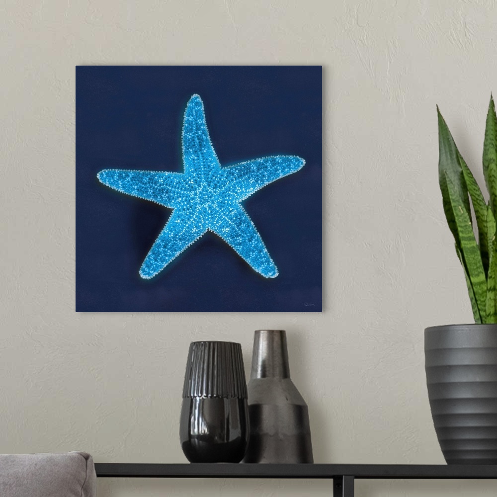 A modern room featuring Cyanotype photograph of a white speckled starfish on an indigo background.