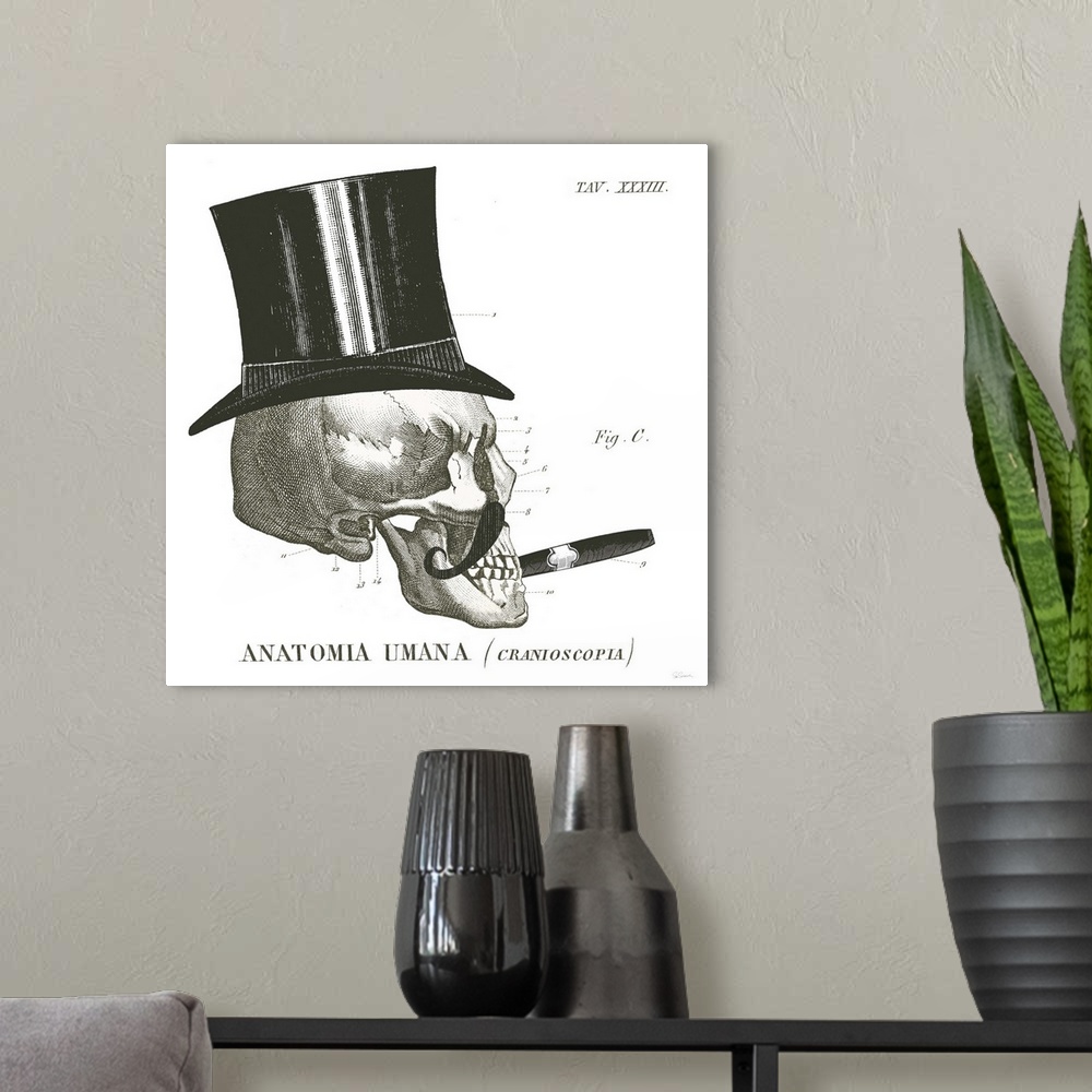 A modern room featuring Anatomical drawing of a human skull with a top hat and cigar.