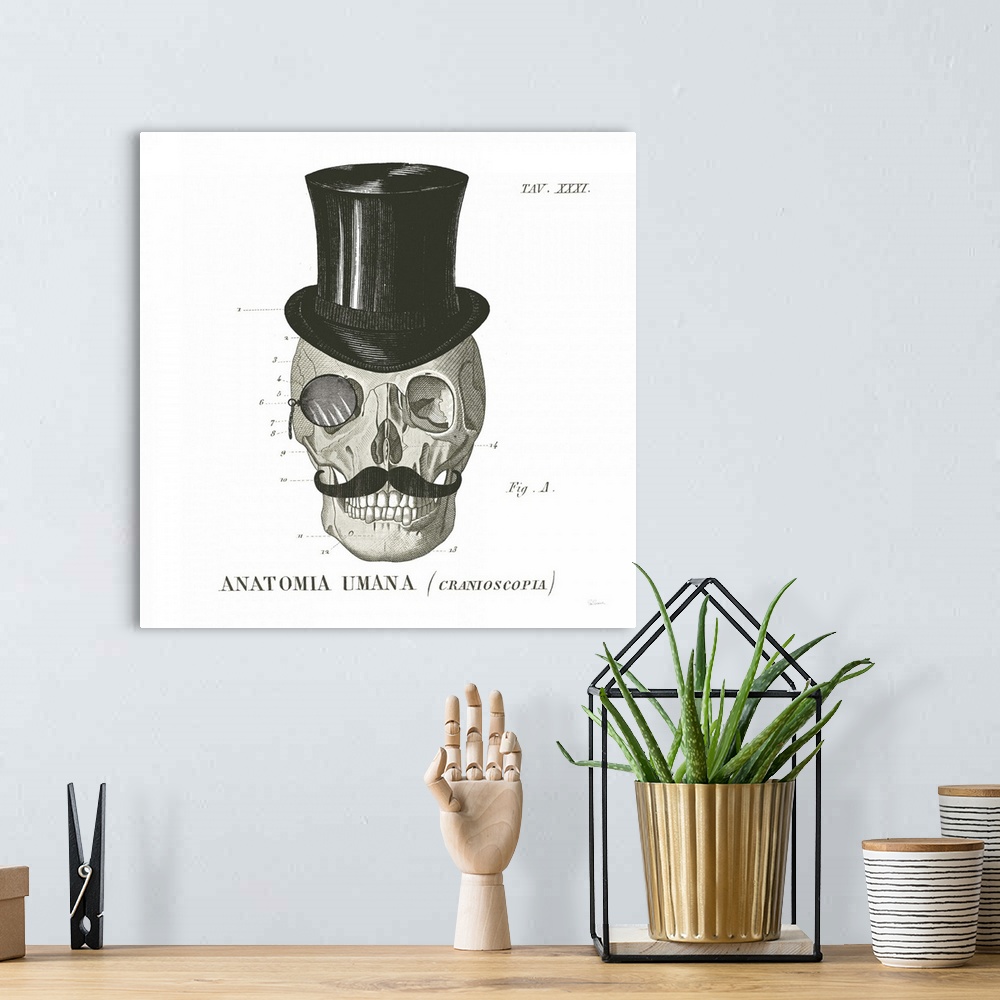 A bohemian room featuring Anatomical drawing of a human skull with a top hat and mustache.