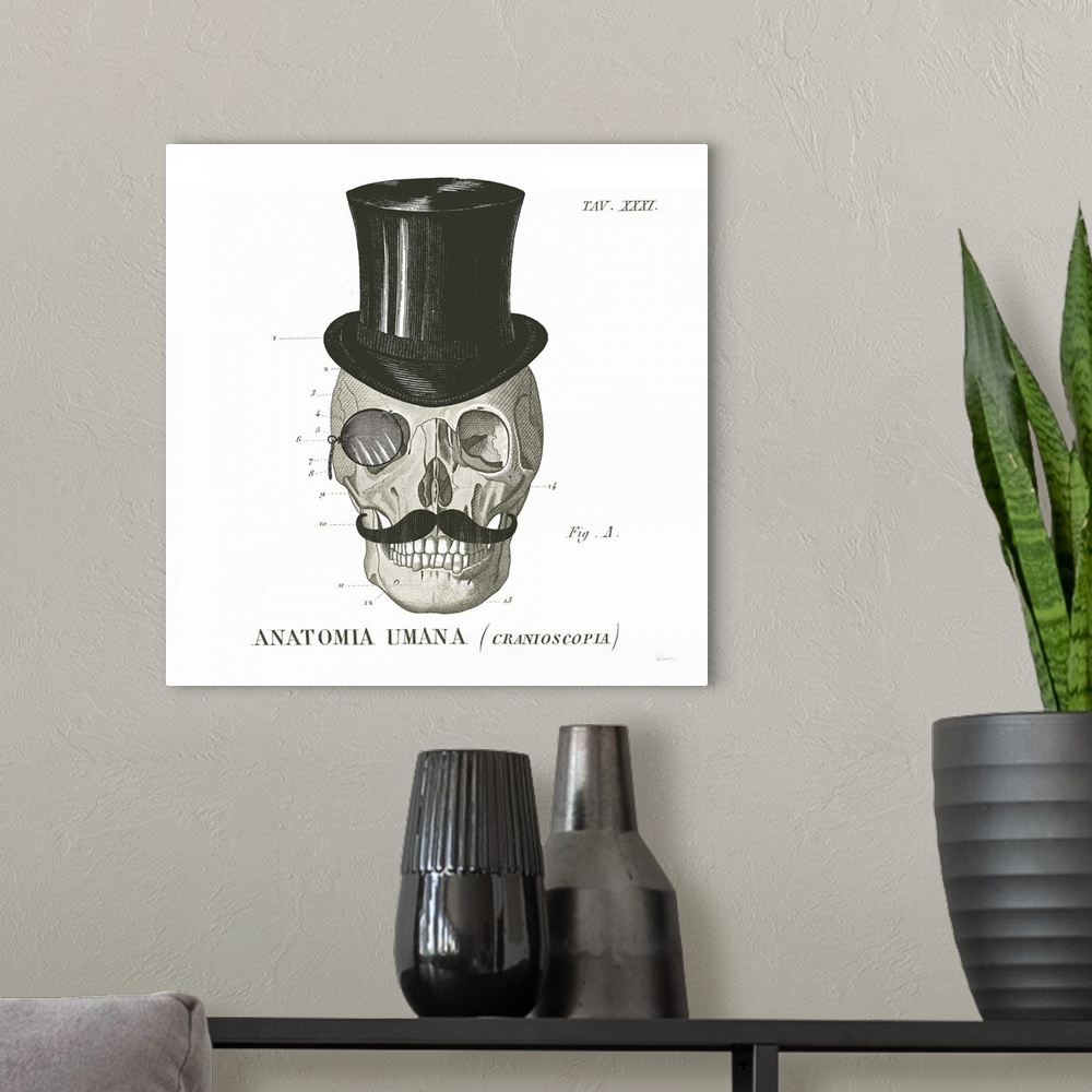 A modern room featuring Anatomical drawing of a human skull with a top hat and mustache.