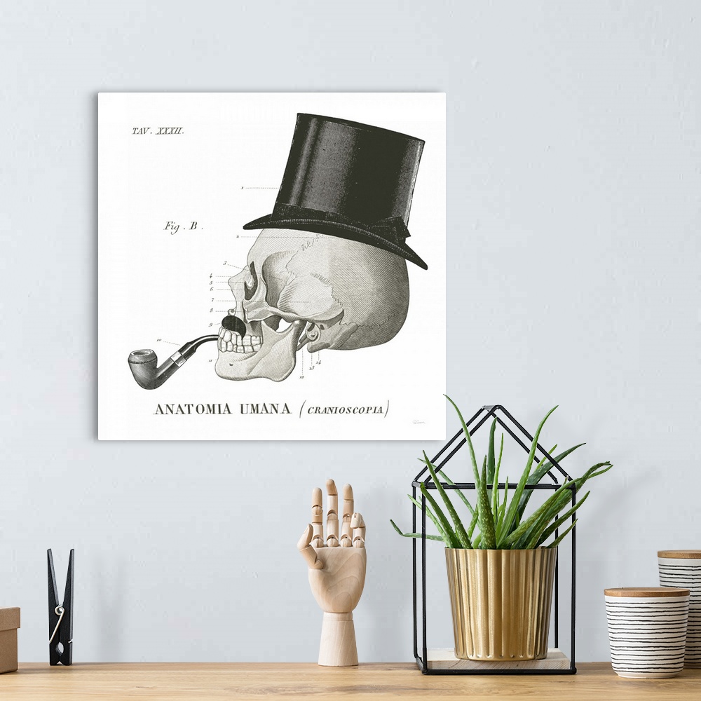 A bohemian room featuring Anatomical drawing of a human skull with a top hat and a pipe.