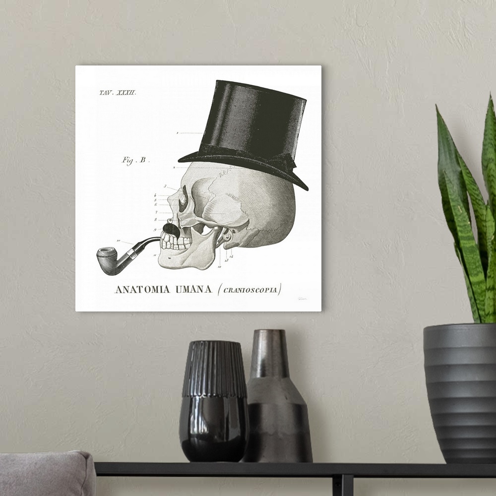 A modern room featuring Anatomical drawing of a human skull with a top hat and a pipe.