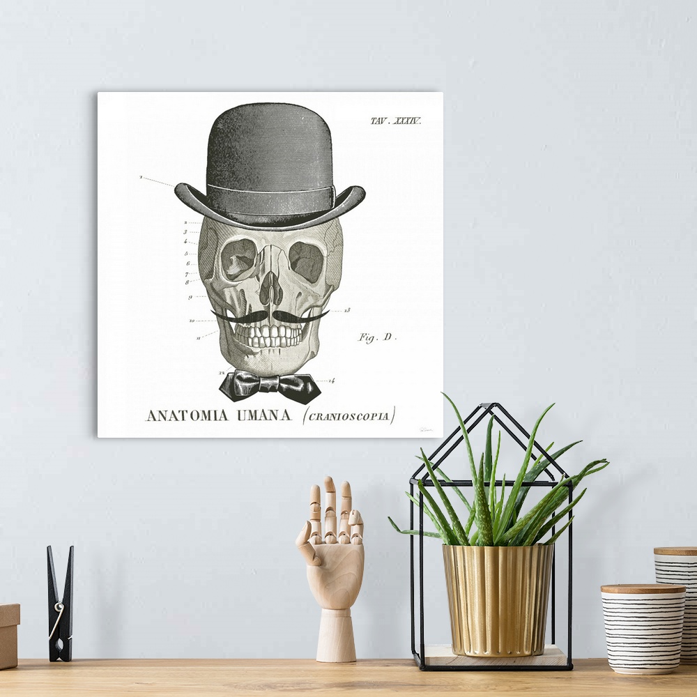 A bohemian room featuring Anatomical drawing of a human skull with a bowler hat and bowtie.