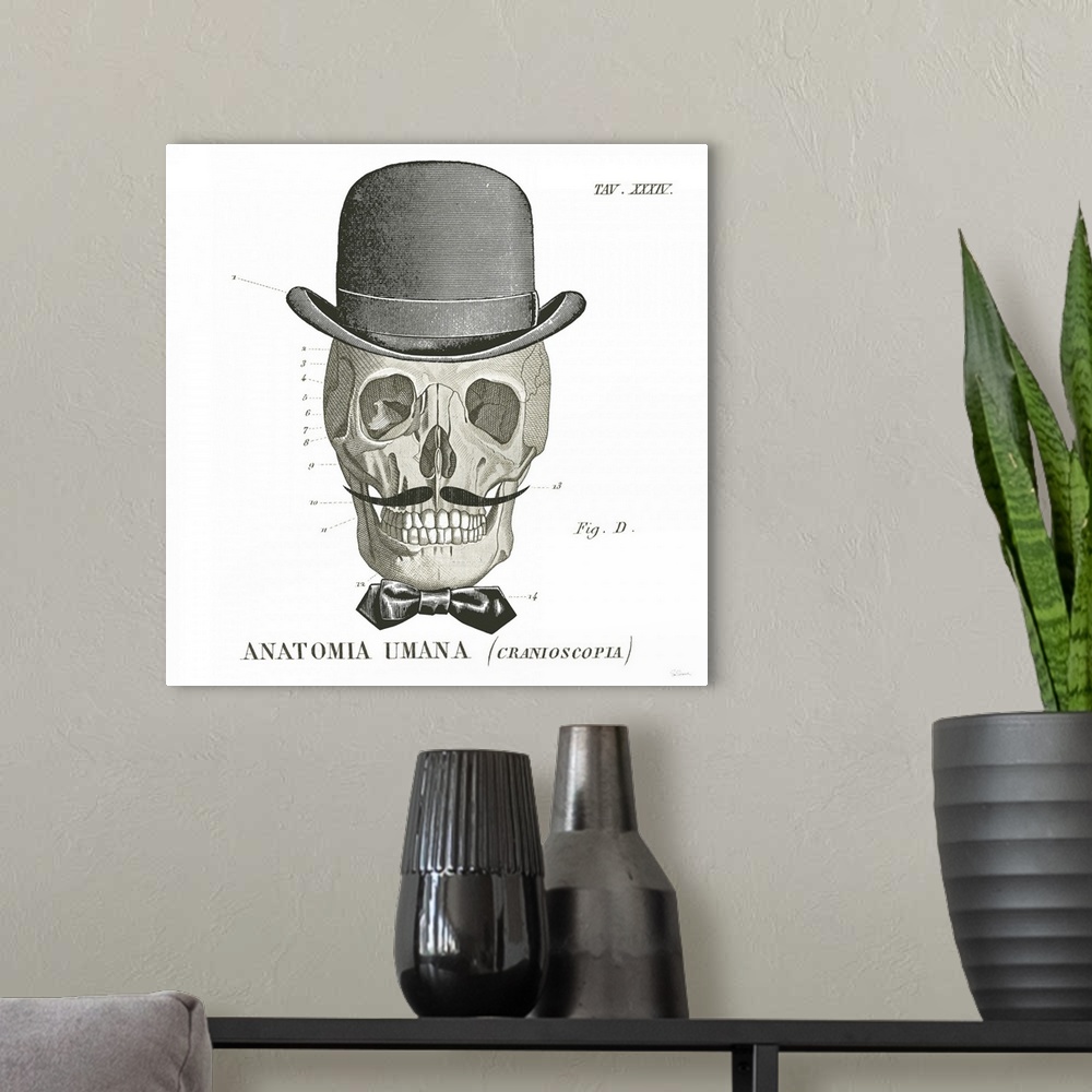 A modern room featuring Anatomical drawing of a human skull with a bowler hat and bowtie.