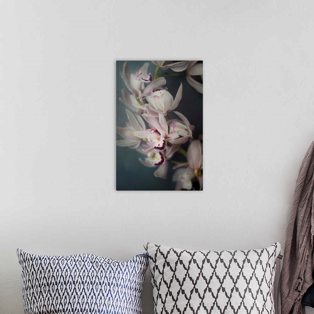 A bohemian room featuring A close-up photograph of pink orchids.