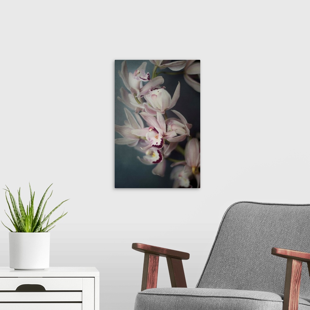A modern room featuring A close-up photograph of pink orchids.