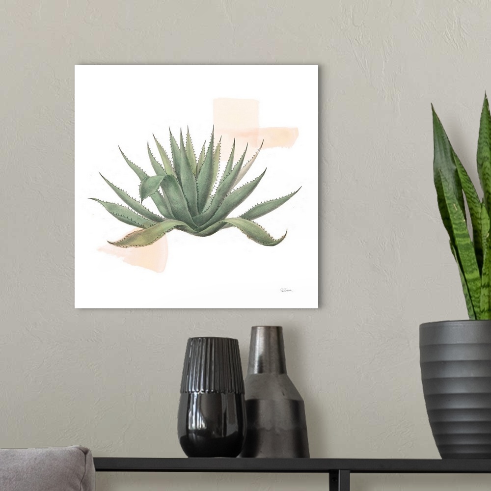 A modern room featuring Desert Color Succulent I