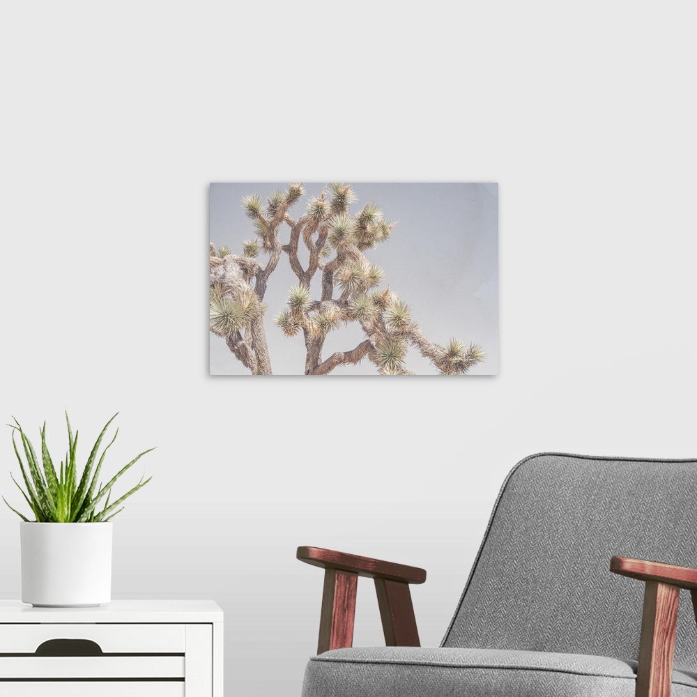 A modern room featuring Desert Floral I