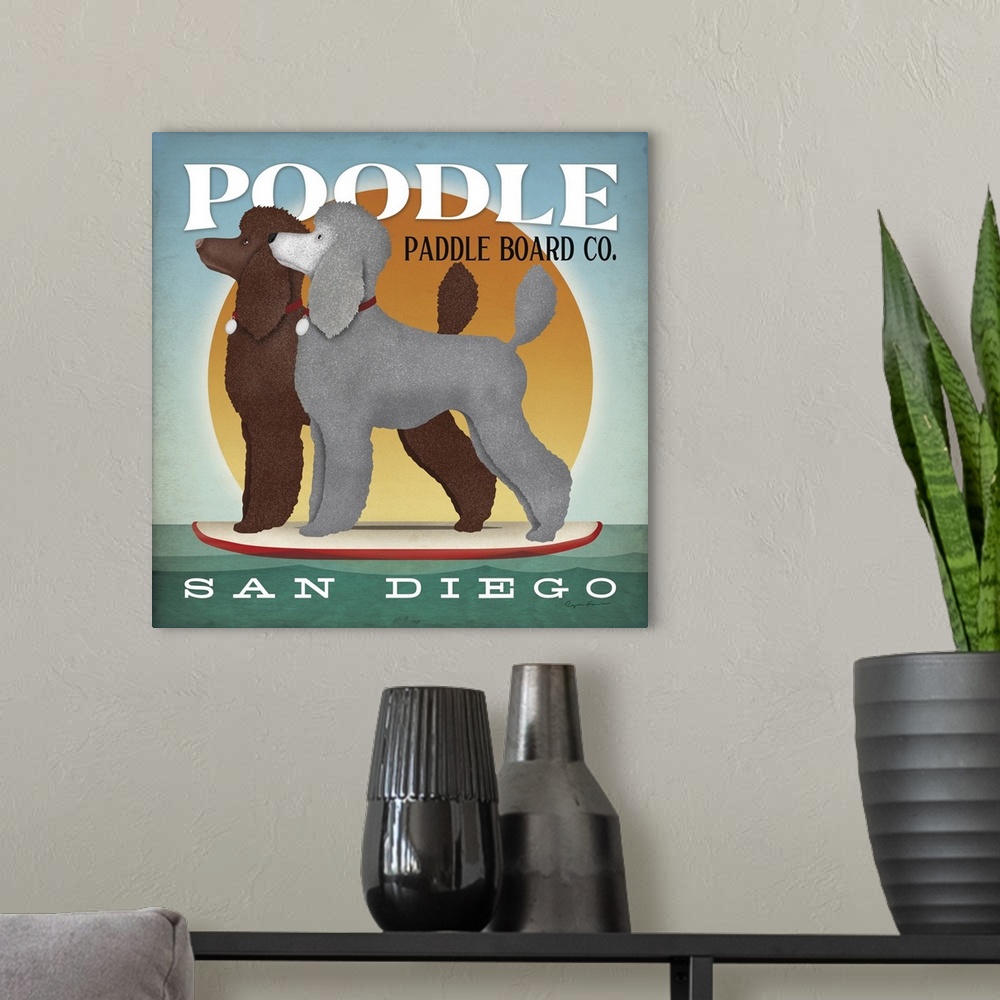 A modern room featuring Double Poodle Paddle Board