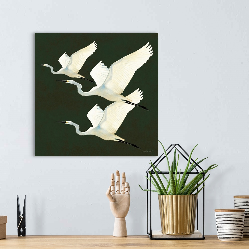 A bohemian room featuring Egrets Alighting II On Green