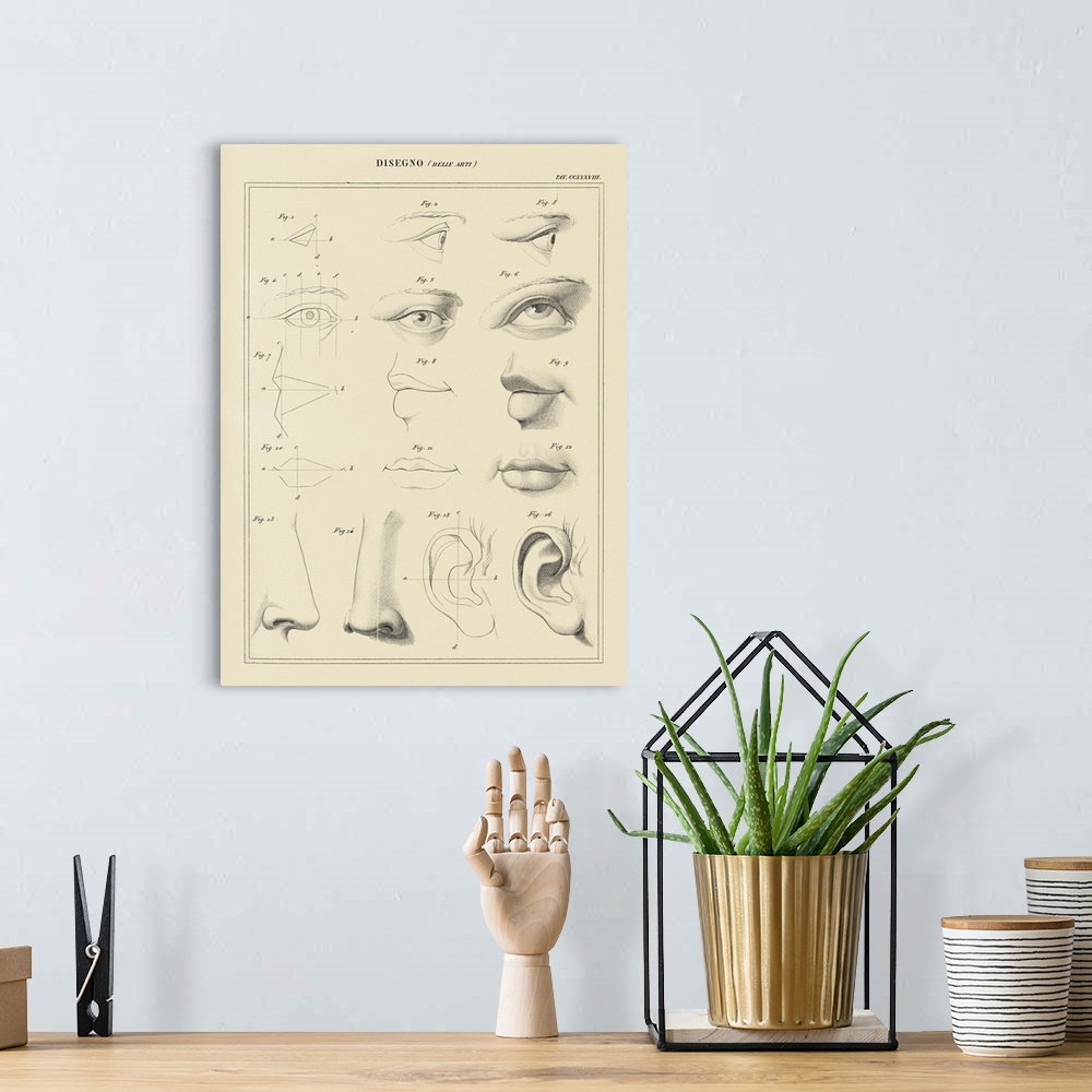 A bohemian room featuring Face Chart