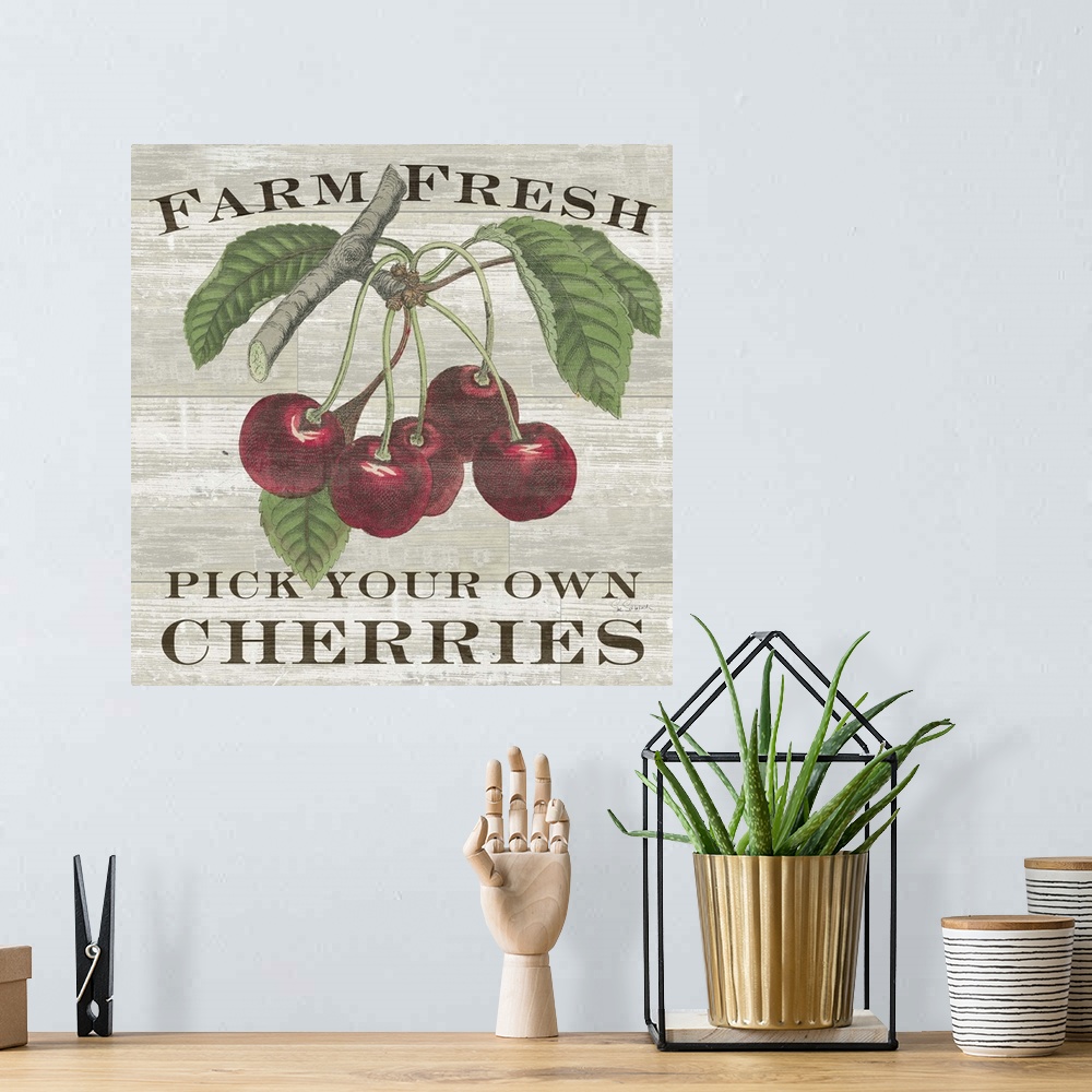 A bohemian room featuring Farm Fresh Cherries