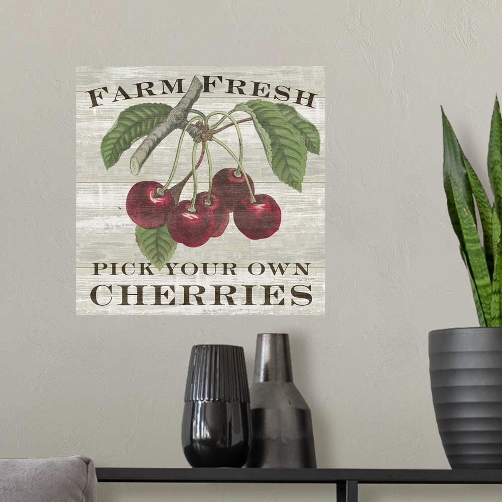 A modern room featuring Farm Fresh Cherries