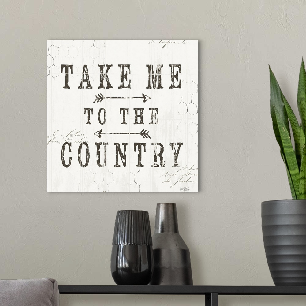 A modern room featuring A distress design of "Take Me To The Country" with chicken wire in the background.
