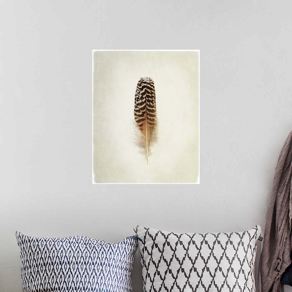 A bohemian room featuring A faded photograph of a bird feather in the center of the frame.
