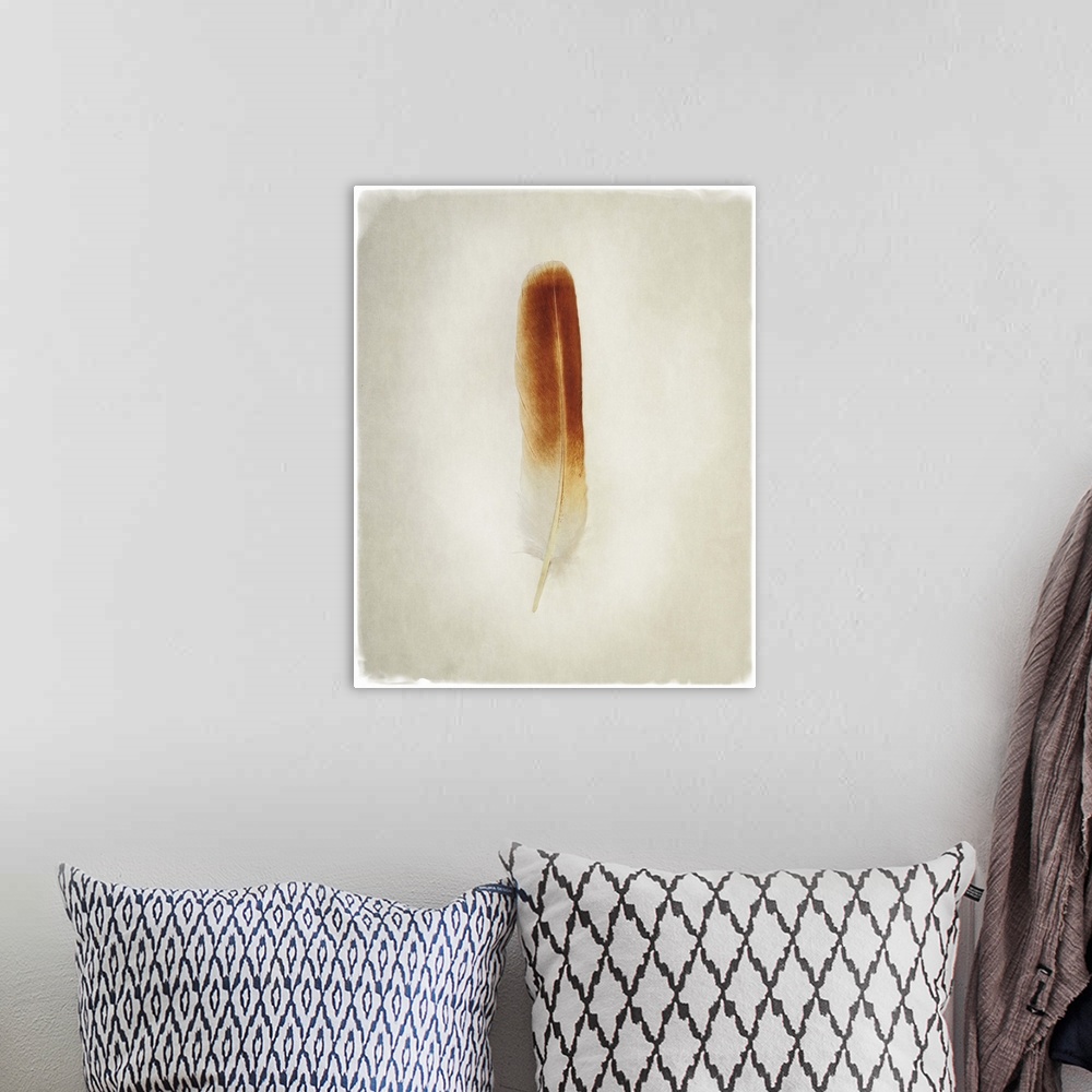 A bohemian room featuring A faded photograph of a bird feather in the center of the frame.
