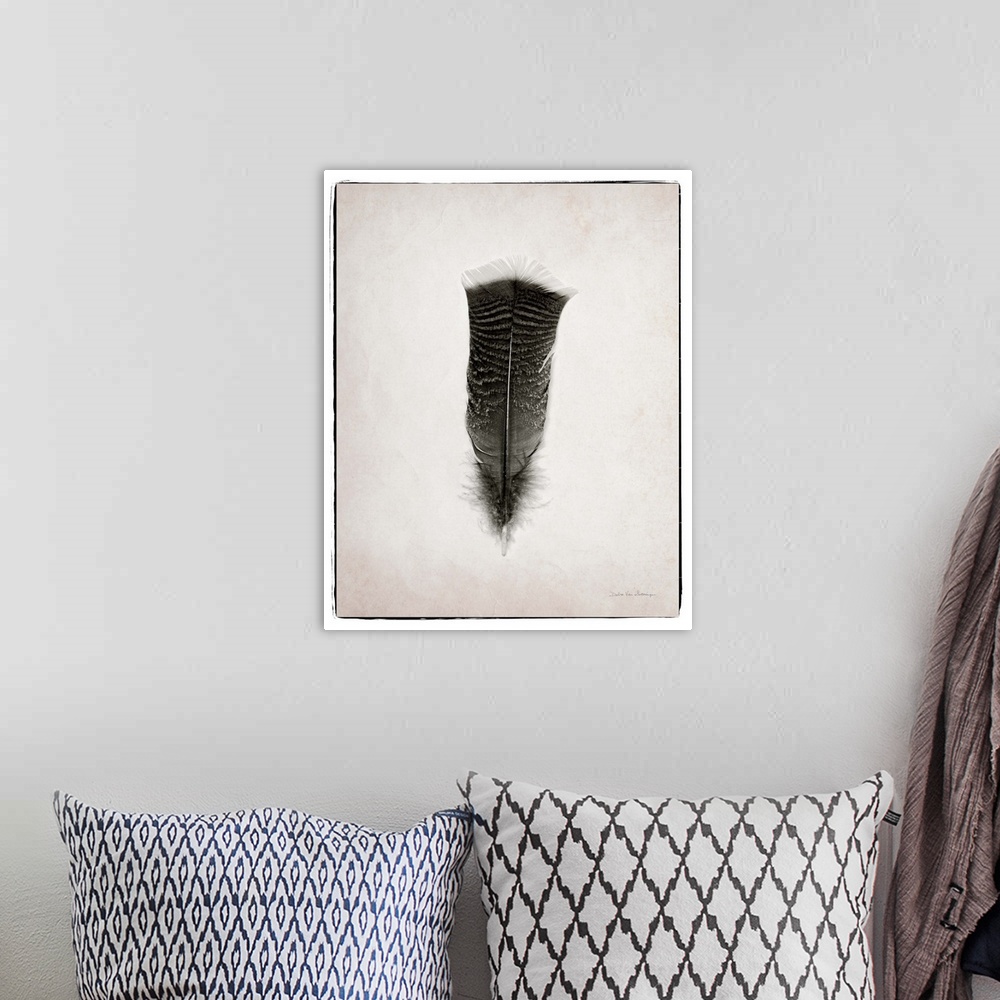 A bohemian room featuring A photograph of a feather against a gray background.