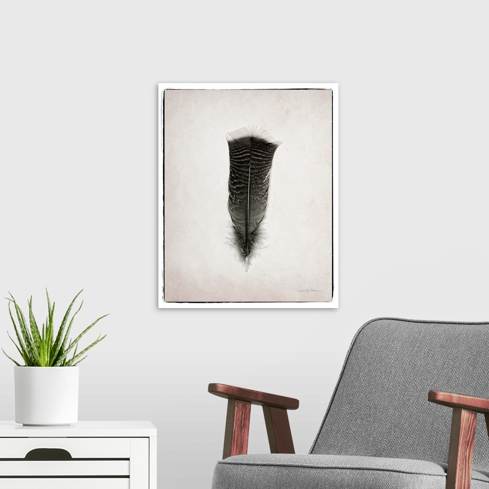 A modern room featuring A photograph of a feather against a gray background.