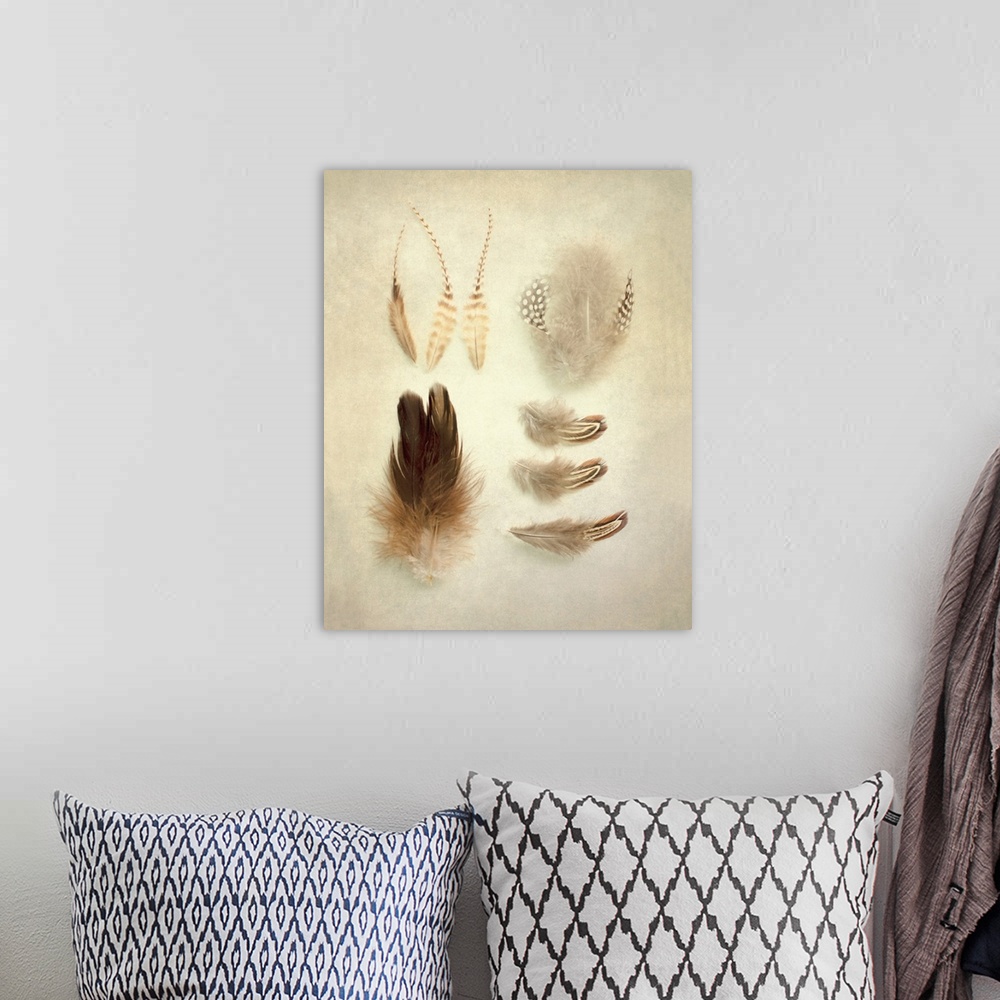 A bohemian room featuring A rustic photograph of various feathers against a beige background.