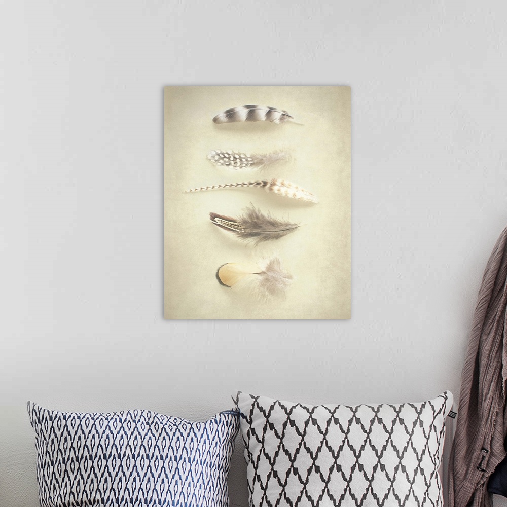 A bohemian room featuring A rustic photograph of various feathers against a beige background.