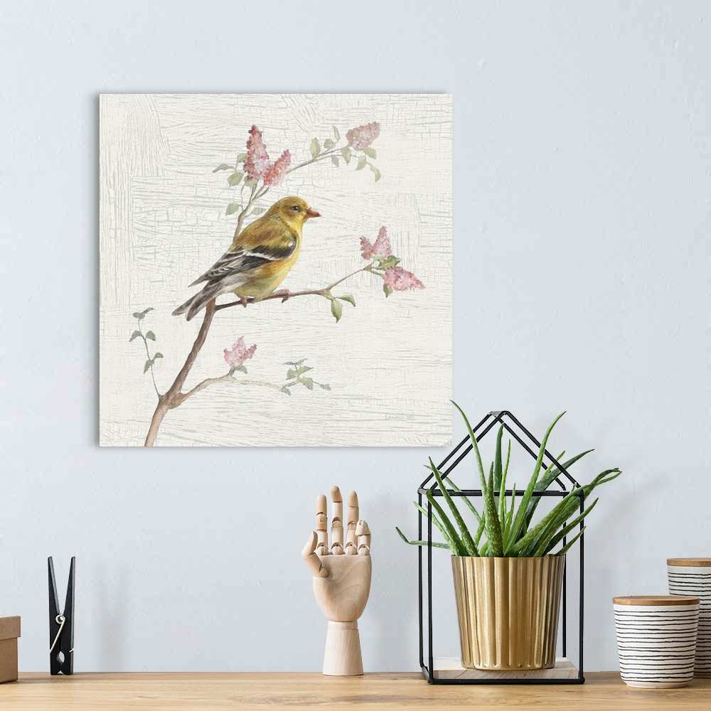 A bohemian room featuring Square vintage illustration of a female Goldfinch perched on a branch with flowers on a texture w...