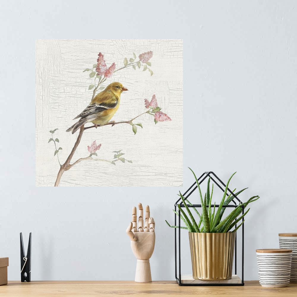 A bohemian room featuring Square vintage illustration of a female Goldfinch perched on a branch with flowers on a texture w...