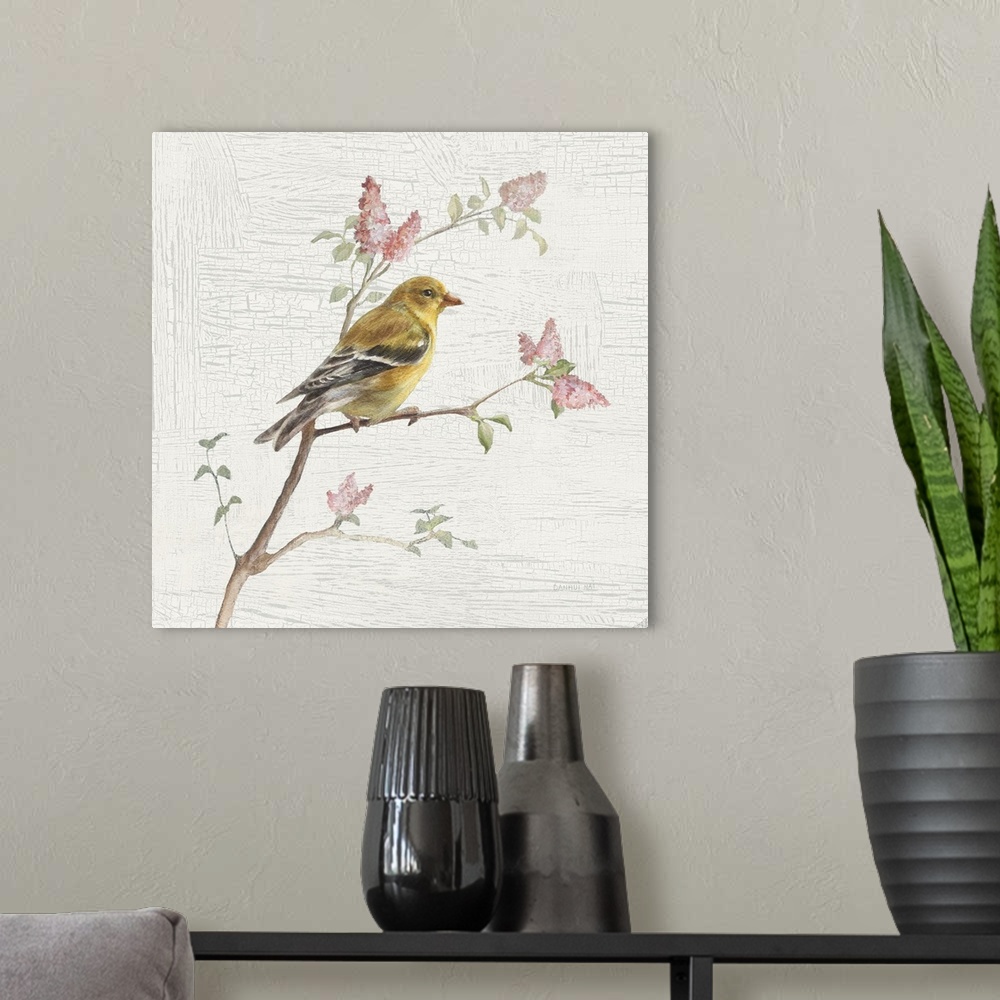 A modern room featuring Square vintage illustration of a female Goldfinch perched on a branch with flowers on a texture w...